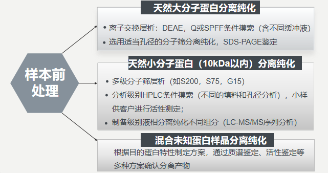 天然蛋白纯化服务流程图-卡梅德科技.png