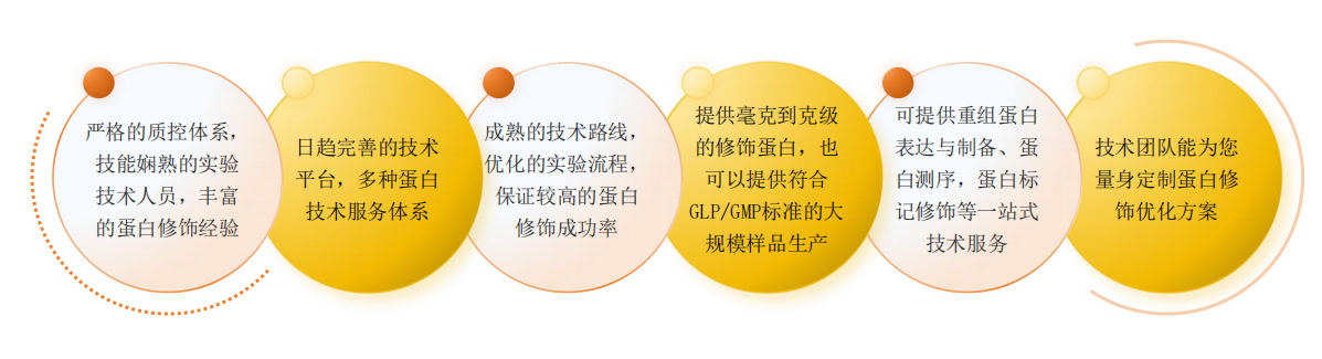 蛋白PEG修饰服务优势-卡梅德科技.png