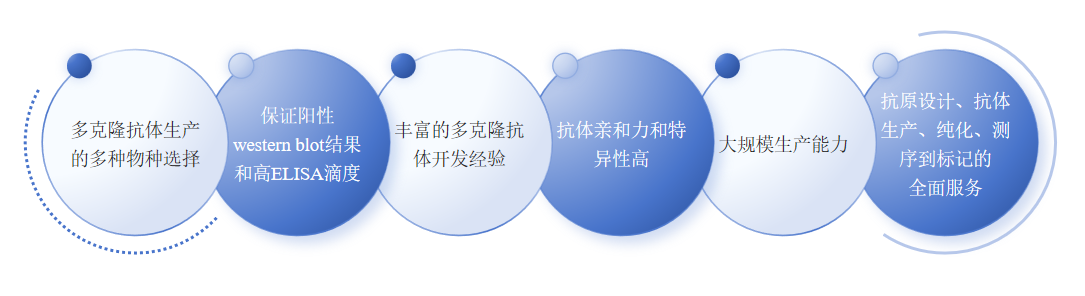 多克隆抗体制备服务优势-卡梅德科技.png