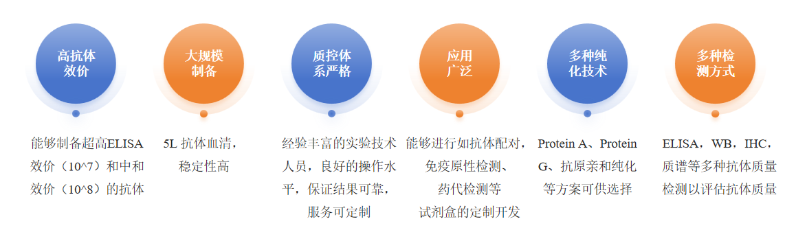 牛多克隆抗体制备服务优势-卡梅德科技.png