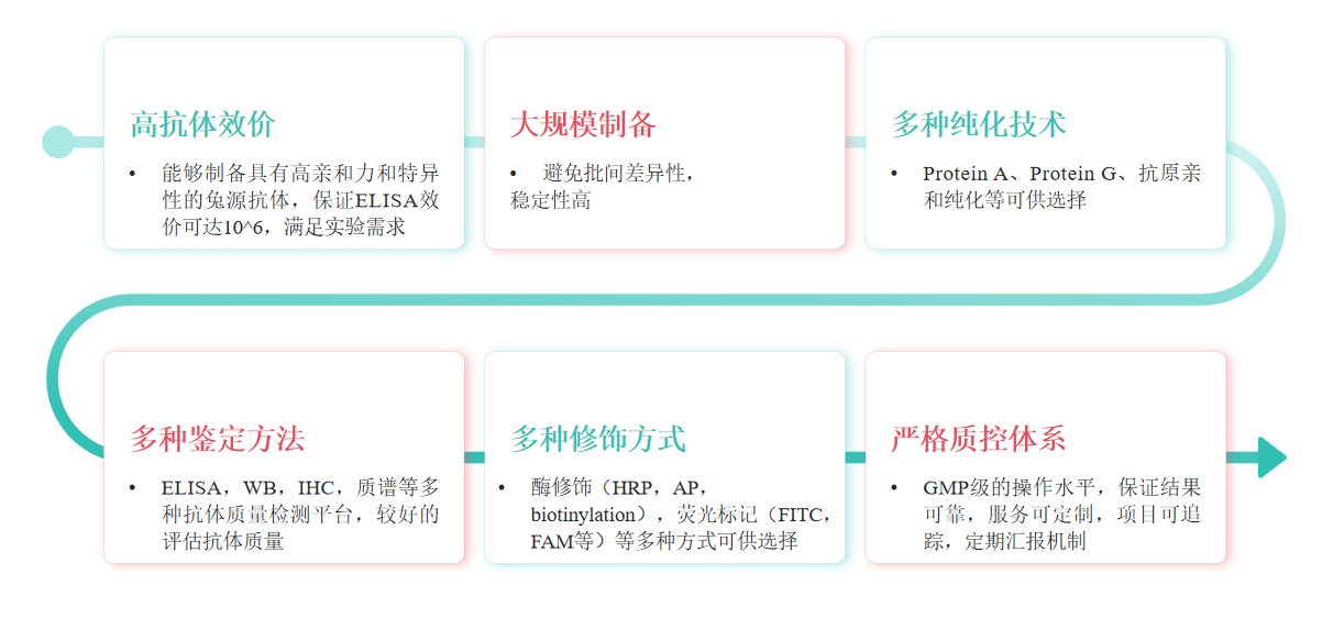 兔多克隆抗体定制服务优势-卡梅德科技.png
