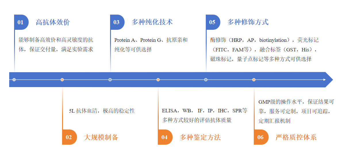 驴多克隆抗体制备服务优势-卡梅德科技.png