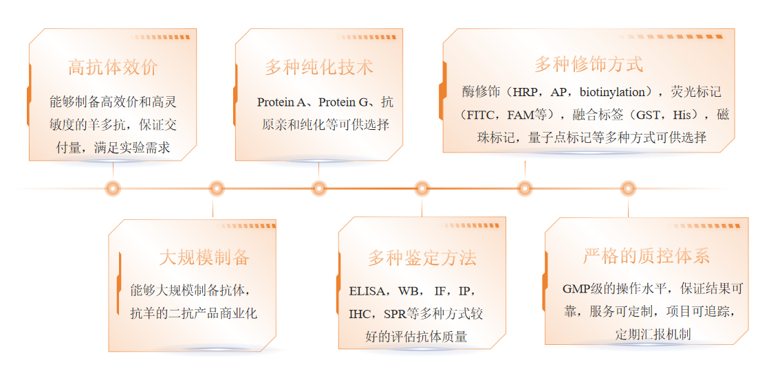 羊多克隆抗体制备服务优势-卡梅德科技.png