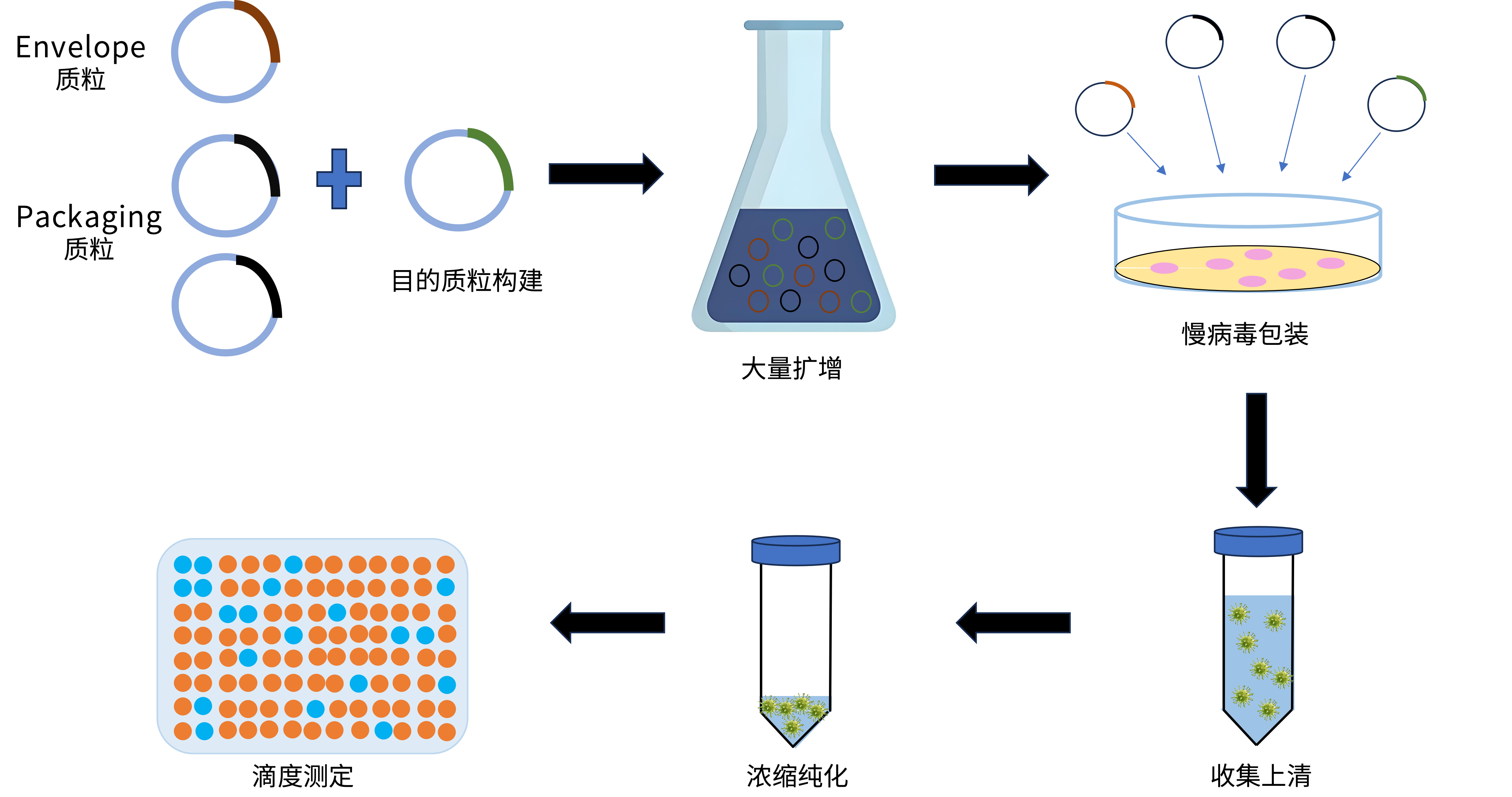 慢病毒包装服务流程图片.png